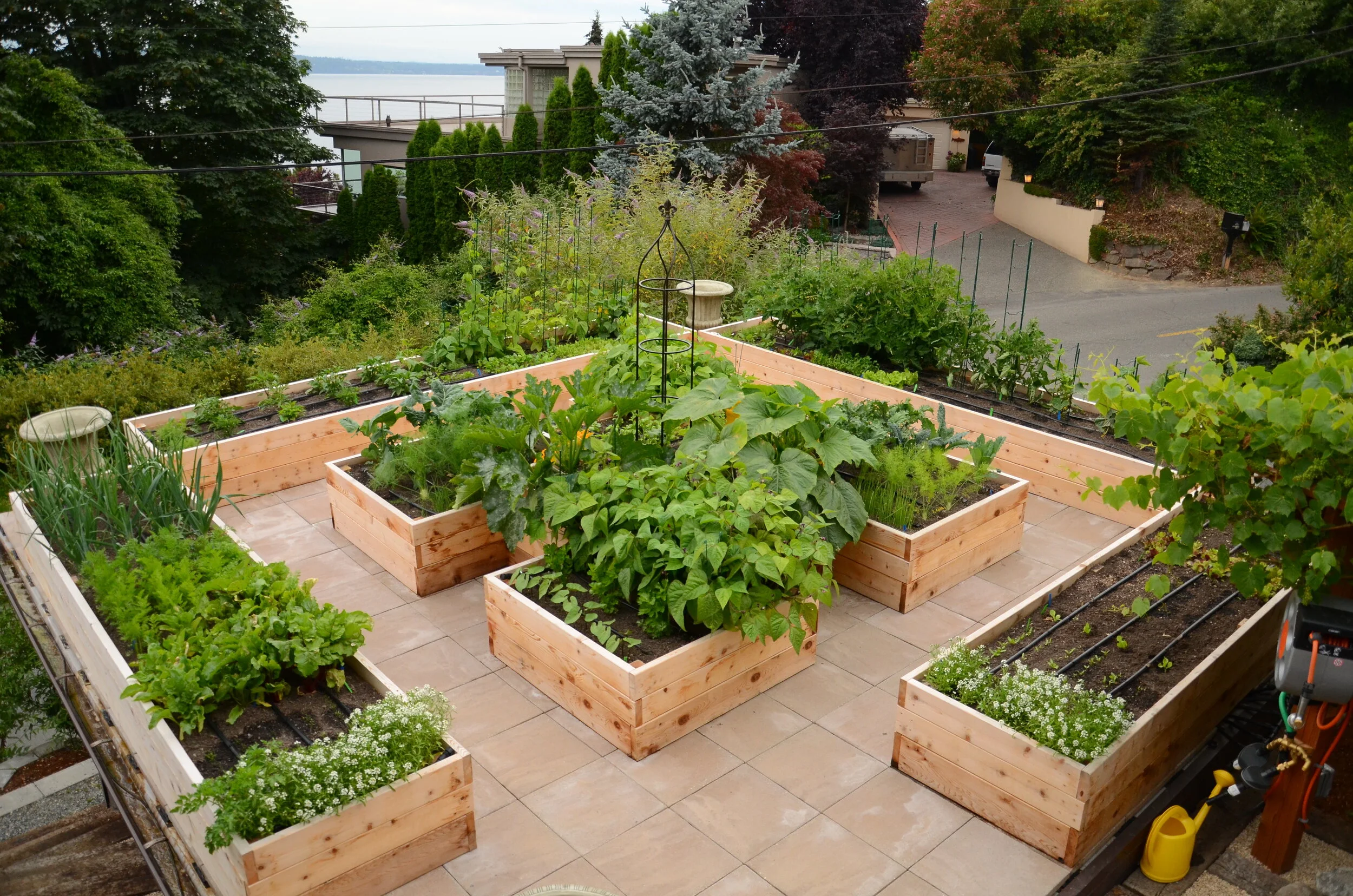 Raised garden on sale